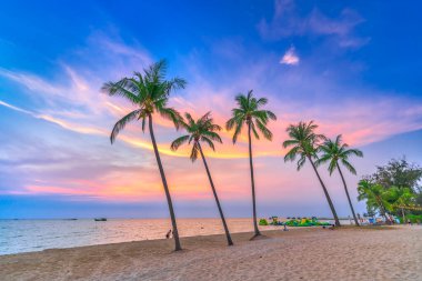 Güzel kumsalda avuç içi olan tropik bir sahil, gün batımı gökyüzü. Burası Vietnam 'ın en iyi plajlarından biri..