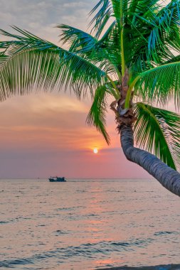 Güneş batarken palmiye ağaçları tropik cennet sahillerinde Phu Quoc Adası, Vietnam