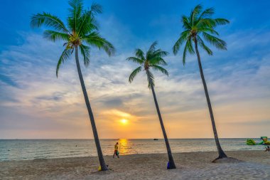 Phu Quoc, Vietnam - 22 Nisan 2024: Günbatımında kıyı manzarası, tropikal iklimi ve güzel manzarasıyla Güneydoğu Asya 'da yaz tatili için popüler bir turizm merkezi.