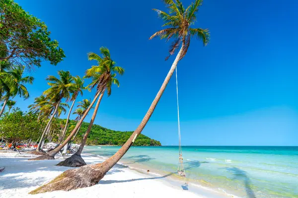 stock image Seascape with tropical palms on beautiful Sao sandy beach in Phu Quoc island, Vietnam