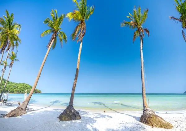 stock image Seascape with tropical palms on beautiful Sao sandy beach in Phu Quoc island, Vietnam