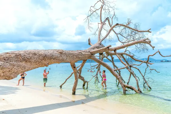 stock image Phu Quoc, Vietnam - April 20th, 2024: Coastal tropical beach of Phu Quoc Island (Ham Rong Beach), Vietnam, a Tropical Tourism Destination for Summer Vacation in Southeast Asia.