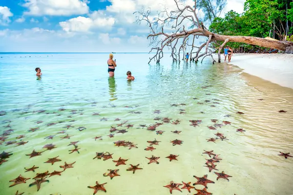 stock image Phu Quoc, Vietnam - April 20th, 2024: Coastal tropical beach of Phu Quoc Island (Ham Rong Beach), Vietnam, a Tropical Tourism Destination for Summer Vacation in Southeast Asia.