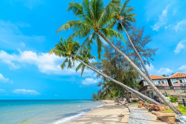 stock image Nice beach in Phu Quoc island Vietnam. The bay with blue water, coconut trees, and fine sand is considered a beautiful beach in the Gulf of Thailand