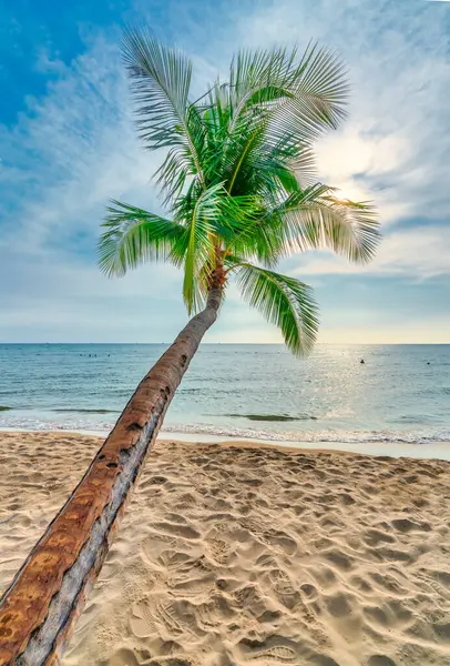 stock image Palm tree at the tropical paradise beach of Phu Quoc Island, Vietnam