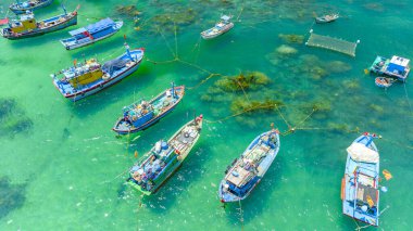 Balıkçı tekneleri Nhon Hai denizinde demirlemiş, Binh Dinh vilayeti, Vietnam. Yukarıdan görüntüle
