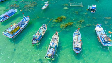 Balıkçı tekneleri Nhon Hai denizinde demirlemiş, Binh Dinh vilayeti, Vietnam. Yukarıdan görüntüle