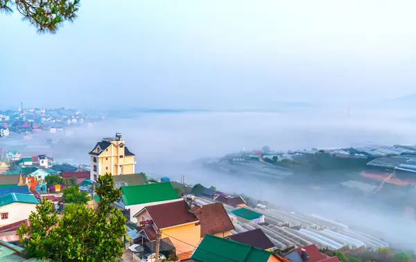 stock image Da Lat, Vietnam - April 24th, 2024: The morning landscape in the valley Da Lat with fog covered and sunrise background is so blurry, so beautiful and peaceful