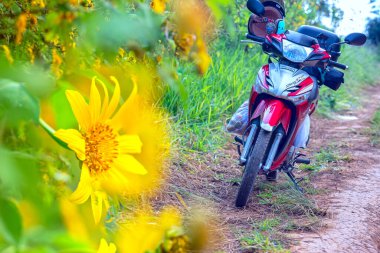 Parkta bisiklet süren genç bir adam.