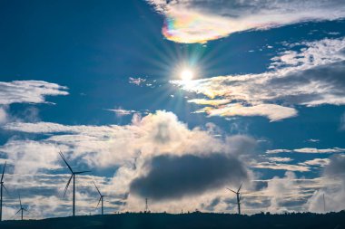 Bulutlu mavi gökyüzünün altındaki bir tarlada rüzgar türbinlerinin düşük açılı görüntüsü.