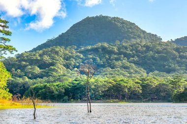 Dağlardaki güzel göl manzarası