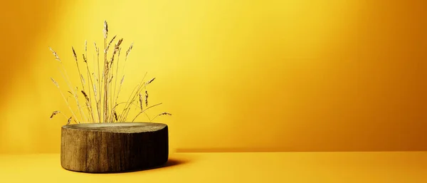 Pšeničné Plodiny Kulatým Dřevěným Pódiem Vykreslení — Stock fotografie