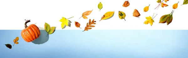 Herbstkürbis Mit Bunten Blättern Über Kopf Flache Lage — Stockfoto
