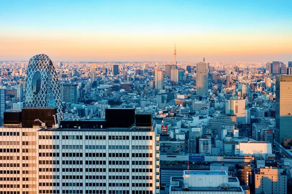 Skyskrapor Som Reser Sig Över Staden Nishi Shinjuku Tokyo Japan — Stockfoto