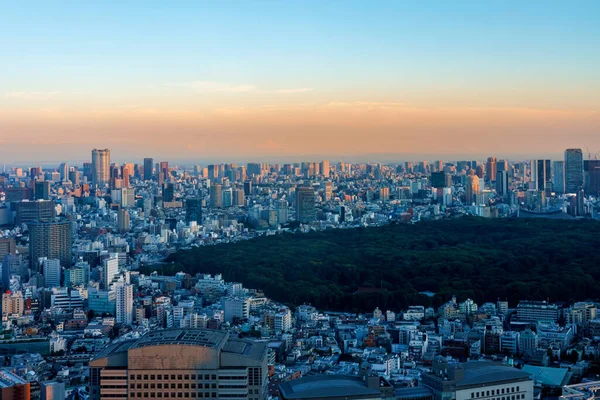 日落时分 摩天大楼高耸在日本东京新宿的城市景观之上 — 图库照片
