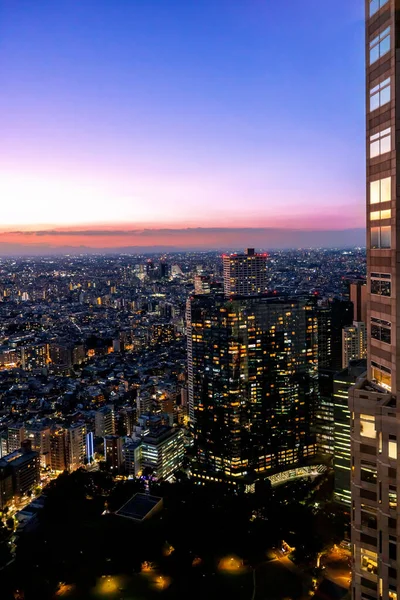 Rascacielos Que Elevan Sobre Paisaje Urbano Nishi Shinjuku Tokio Japón — Foto de Stock