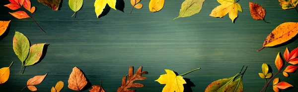 カラフルな秋の葉のオーバーヘッドビュー フラットレイアウト — ストック写真