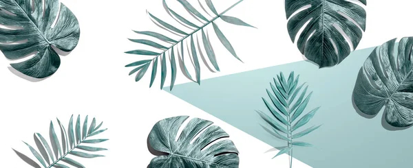 Tropische Palmbladeren Van Bovenaf Plat Gelegd — Stockfoto