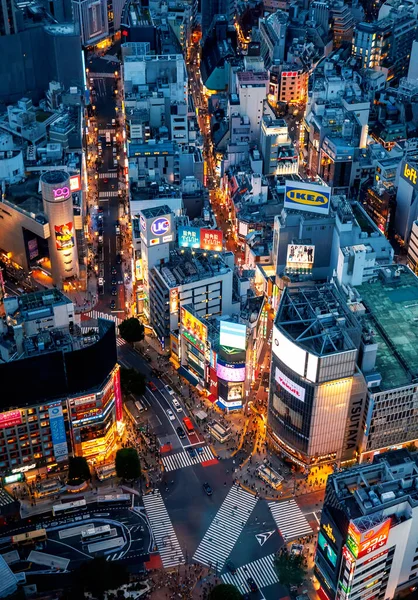 東京の渋谷スクランブル交差点の空中ビュー 日没時 — ストック写真