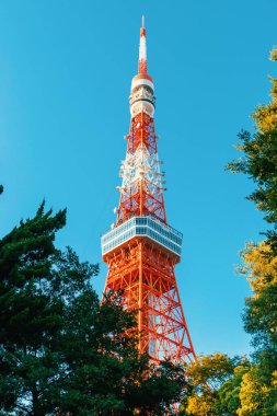 Tokyo Kulesi, Minato, Tokyo, Japonya 'nın arka planında