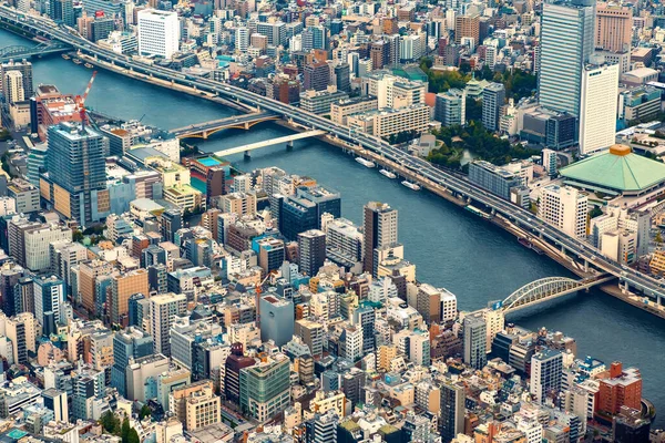 Vue Aérienne Rivière Sumida Tokyo Japon — Photo