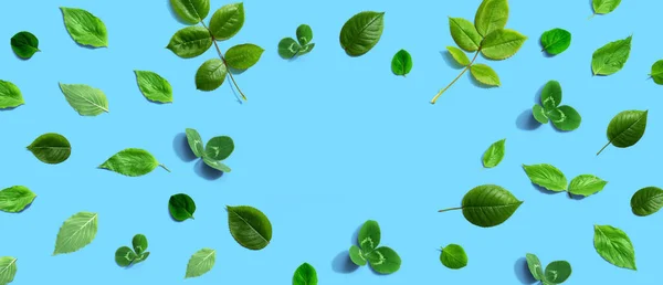 Зеленый Лист Рамы Дизайн Фона Плоская Лежа — стоковое фото