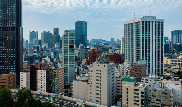 通过日本东京Minato的摩天大楼和高速公路 — 图库照片