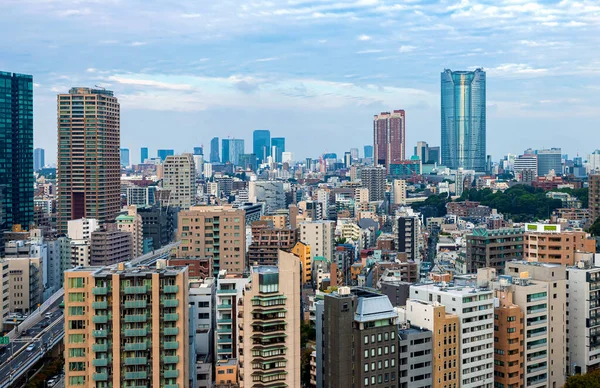 Wolkenkrabbers Snelwegen Door Minato Tokio Japan — Stockfoto
