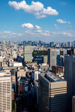 Gökdelenler Nishi-Shinjuku, Tokyo, Japonya 'nın üzerinde yükseliyor.