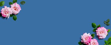 Üzerinde yeşil yapraklar olan pembe güller.