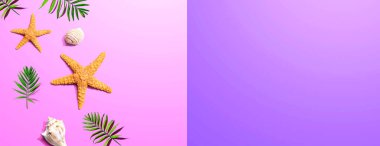 Deniz yıldızı ve deniz kabuğu manzaralı yaz konsepti - düz yatıyordu