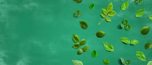 Зелене Листя Рамки Дизайн Фон Плоский — стокове фото