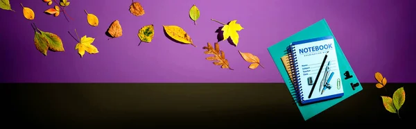 Ноутбуки Школьными Принадлежностями Осенними Листьями Плоский Лежал — стоковое фото