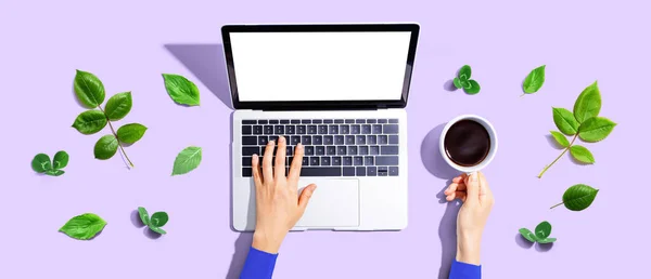 Person using a laptop computer with green leaves - flat lay