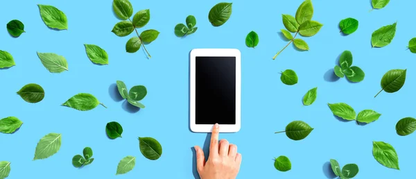 Zöld Levelek Egy Tabletta Számítógép Lapos Laikus — Stock Fotó