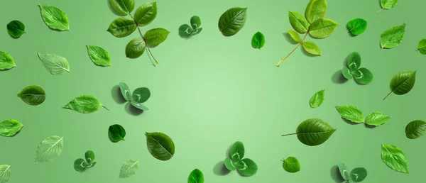 Зеленый Лист Рамы Дизайн Фона Плоская Лежа — стоковое фото