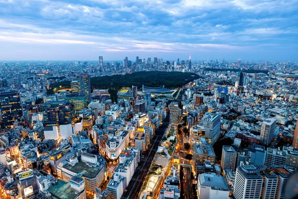 以新宿天际线为背景的日本石谷空中景观 — 图库照片