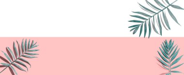 Tropik palmiye yaprakları yukarıdan - düz yatıyordu