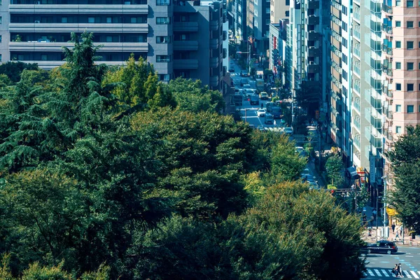 日本东京新宿 天气晴朗的城市 免版税图库照片