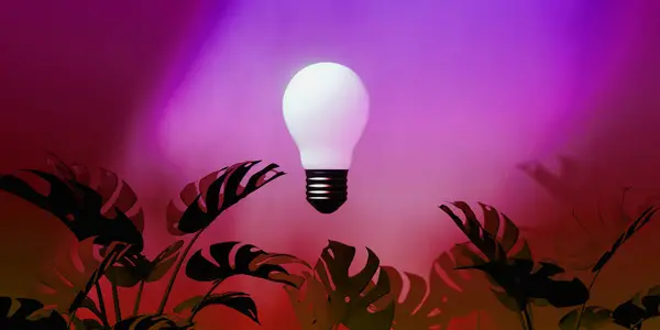 Glödlampa Och Tropiska Monstera Blad Med Neonljus Render Stockbild