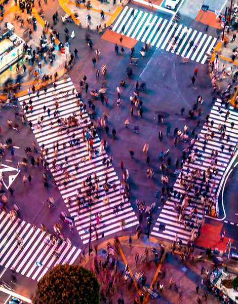 Widok Lotu Ptaka Shibuya Tokio Japonia Nocy Obraz Stockowy
