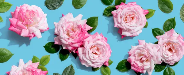 Rosas Rosadas Con Hojas Verdes Sobre Cabeza Vista Plano Laico —  Fotos de Stock