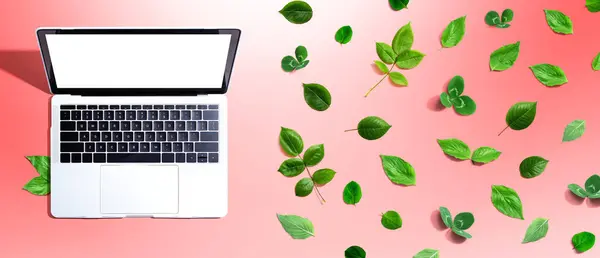 Laptop computer with green leaves - flat lay