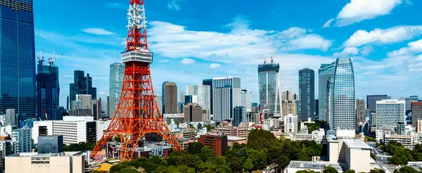 日本东京Minato的摩天大楼和东京塔 图库图片