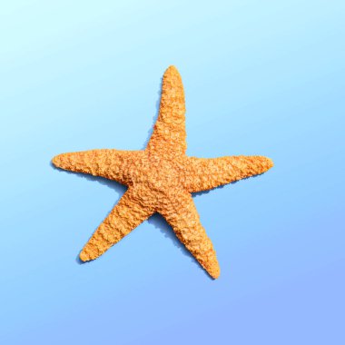 Deniz yıldızı manzaralı yaz konsepti - düz çizgi