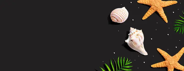 ヒトデと貝殻のオーバーヘッドビューと夏の概念 フラットレイ ストック写真
