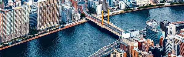 stock image Aerial view of the Sumida River in Tokyo, Japan