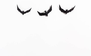 Halloween Kağıt yarasalar havai, katı bir rengi göster