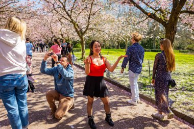 Danimarka 'nın Kopenhag kentindeki Bispegjerg mezarlığındaki kiraz ağacını ziyaret eden insanlar.