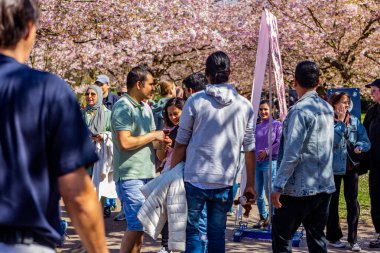 Danimarka 'nın Kopenhag kentindeki Bispegjerg mezarlığındaki kiraz ağacını ziyaret eden insanlar.
